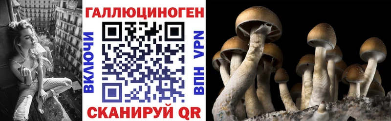 Псилоцибиновые грибы мицелий  Котельники 