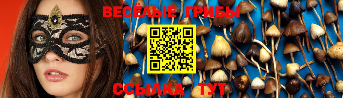 Галлюциногенные грибы мухоморы  Вход с VPN  где купить наркотик  Котельники 